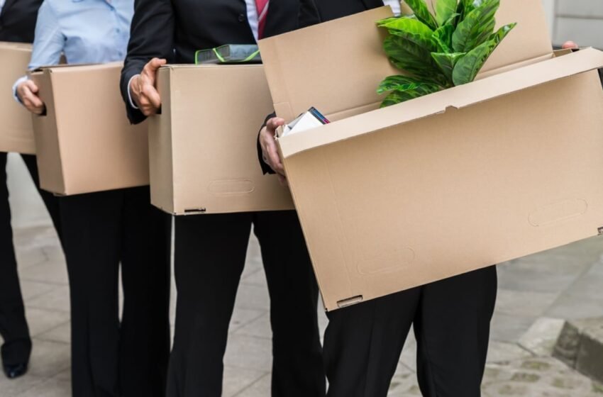  Yuga Labs Resumes Layoffs; CEO Says Web3 Platform ‘Lost Its Way’