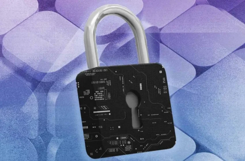  zkSNACKs Enforces Ban on US Users for Wasabi Wallet Access