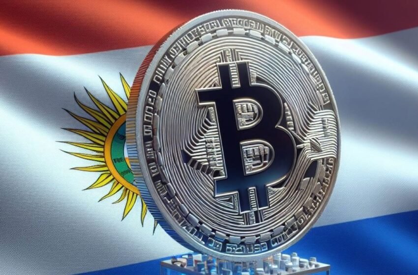  Paraguay Cracks Down on Illegal Bitcoin Mining: Over 550 Miners Seized