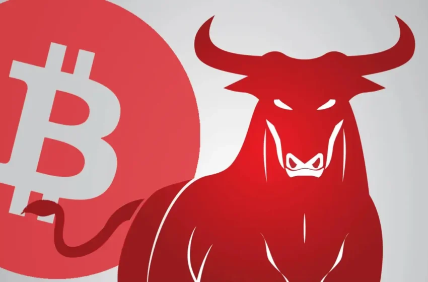  On-Chain Analyst Willy Woo Predicts Bitcoin Bullish Run