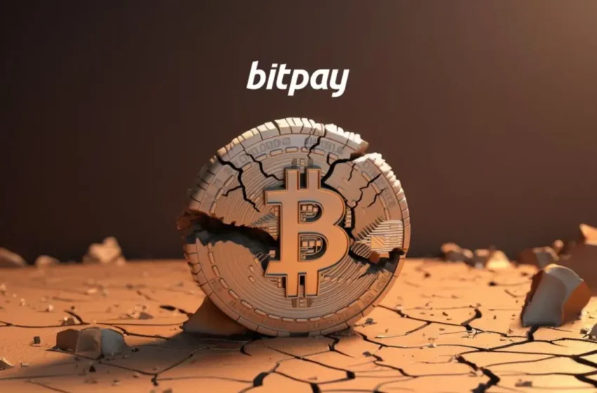  BitPay’s 2024 Cryptocurrency Spending Trends Are Out