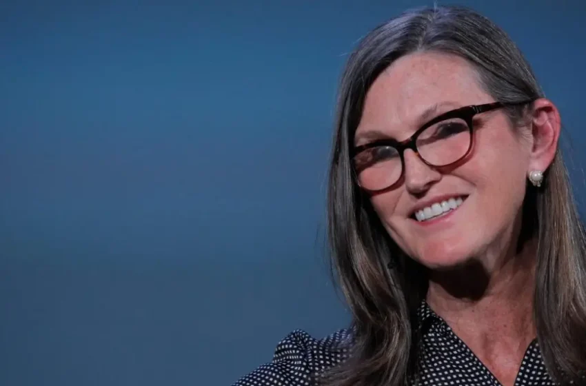  Cathie Wood Champions Bitcoin at Consensus 2024