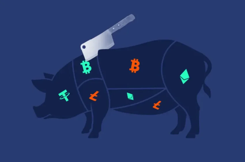  Coinbase, Kraken, and Partners Launch Initiative to Battle ‘Pig Butchering’ Fraud