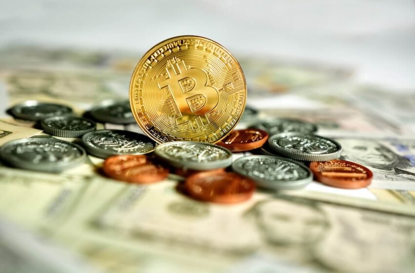  Algotech gains as Bitcoin spikes towards $64k on latest CPI report
