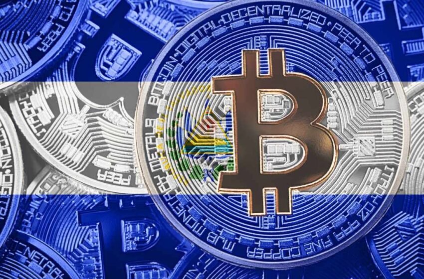  Ark CEO Cathie Wood Talks Bitcoin With El Salvador’s President — Applauds His Vision for BTC Hub