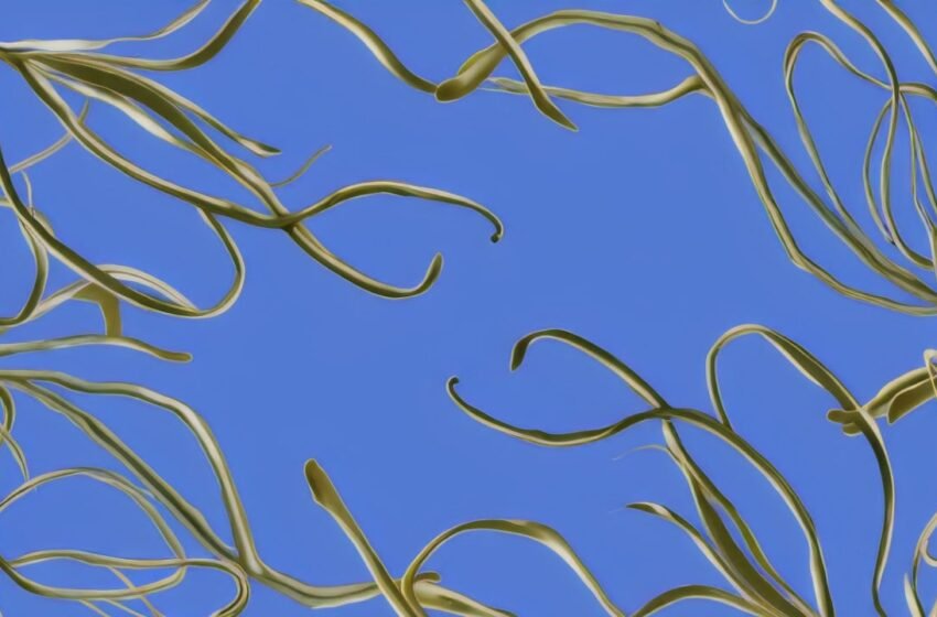  Kelp DAO Secures $9 Million in Private Sale to Boost Defi Expansion