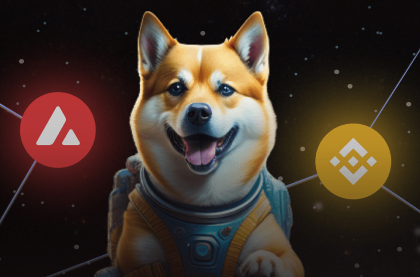  New Meme Coin Dogeverse Raises $13M in ICO – the Next Dogecoin?