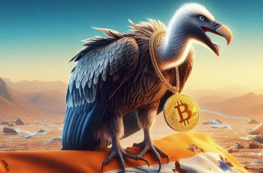  Insider: ‘Vulture Contracts’ Affecting Bitcoin Mining Development in Paraguay