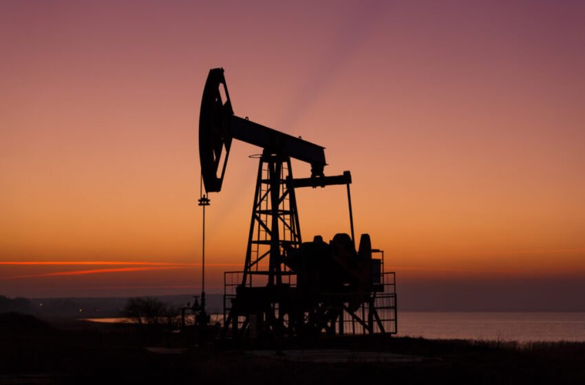  India, China lead in Russian fuel oil and VGO imports in May