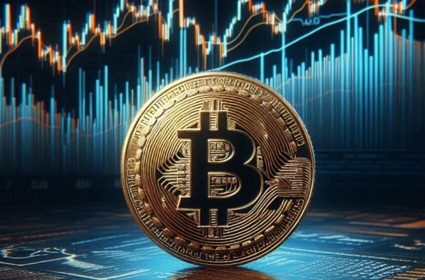  VC Billionaire Chamath Palihapitiya Explains the $500,000 Bitcoin Case: Countries Will Become Dual Currency