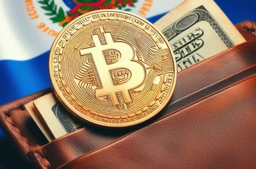  Wasabi Wallet Lead Developer: ‘Bitcoin Developers Are Failing El Salvador’