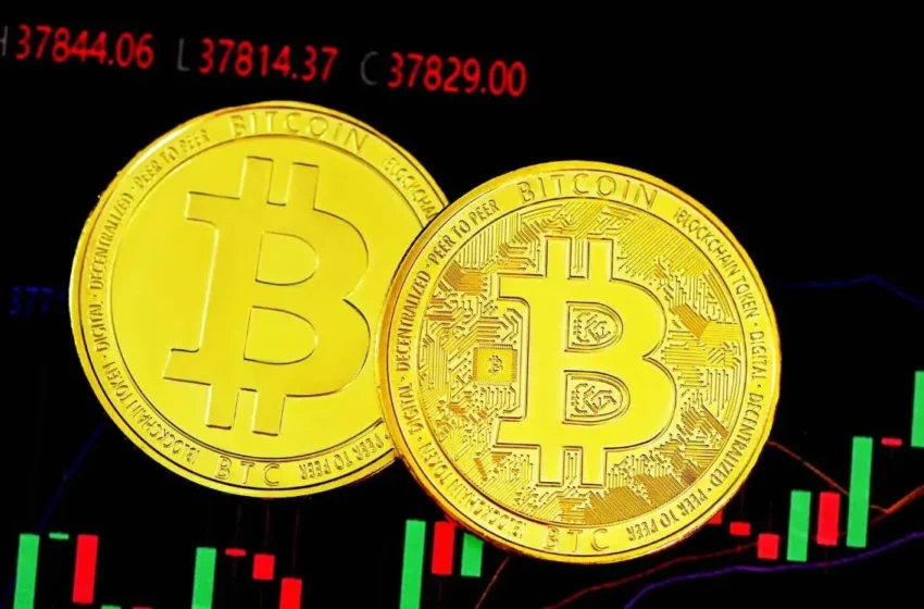  Bitcoin Price Lows May Be Over, According to Willy Woo
