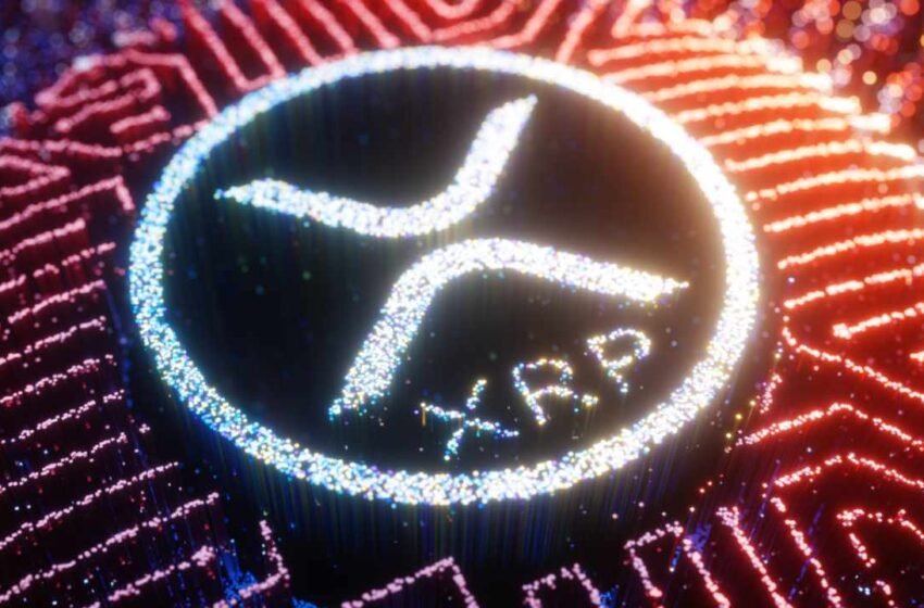 Ripple CEO Expects SEC to Approve Spot XRP ETF Next Year