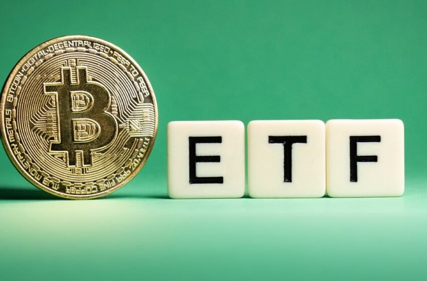  Blackrock’s IBIT Leads as US Spot Bitcoin ETFs Enjoy 19th Day of Inflows