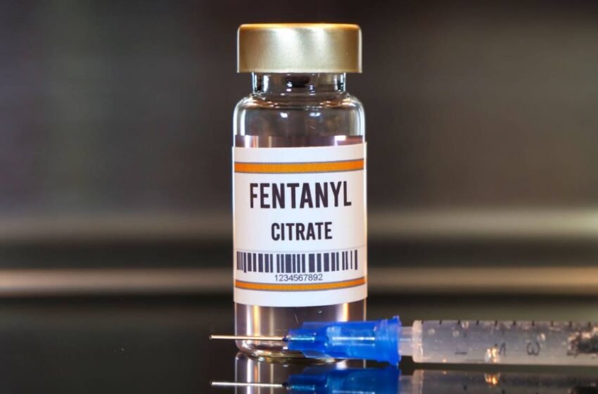  Elizabeth Warren: Crypto Prominent in the Global Fentanyl Trade Over the Last Decade