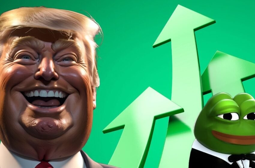  12-Month Crypto Gainers: Meme Coins Take 7 of Top 10 Spots
