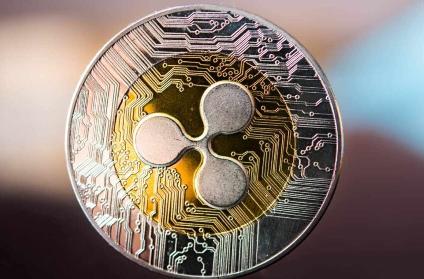  Ripple CEO Hails Latest Court Ruling ‘a Big Win’ — Calls His Lawsuit Baseless Troll Attempt
