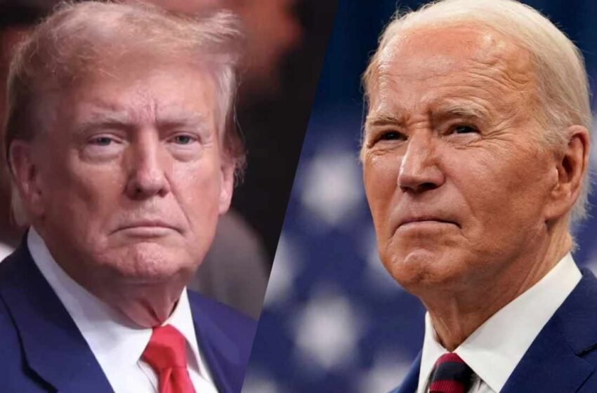  Trump vs Biden: Riot’s Morgenstern Highlights Stark Contrast in Crypto Policies