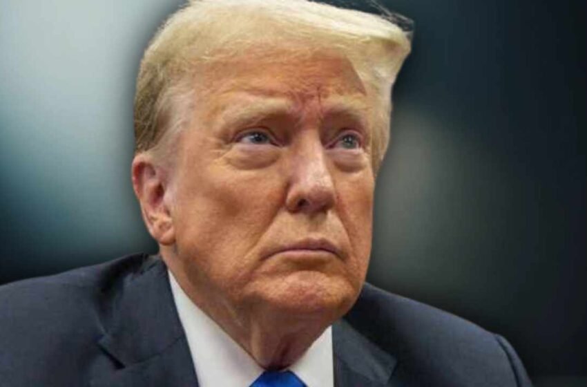  Donald Trump’s Crypto Portfolio Tops $14M Post-Conviction — Meme Coin Holdings Soar, Says Arkham