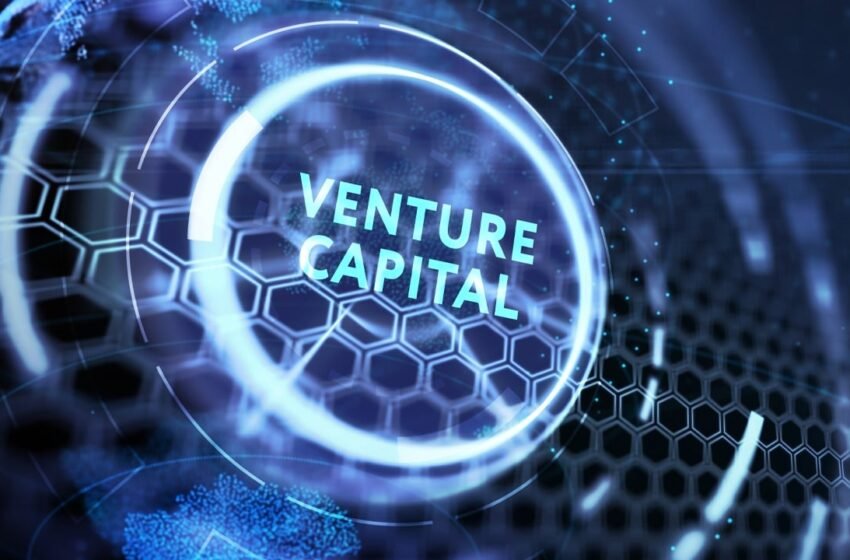  Crypto Sector Secures $317M in Venture Capital Deals in Early June