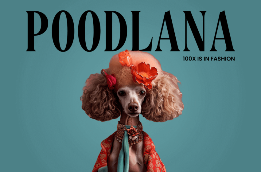  Poodlana sparks fresh interest in Solana meme coins