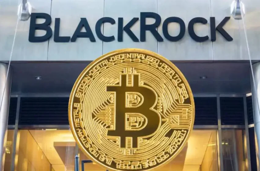  Blackrock Issues Urgent Alert on Cryptocurrency Scams