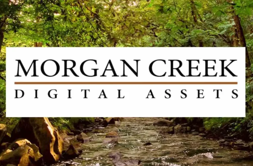  Morgan Creek Digital Targets $500 Million Fund for AI and Blockchain