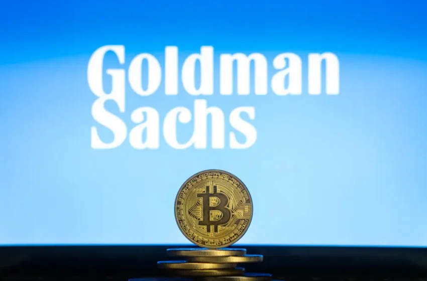  Goldman Sachs Chief Discusses Bitcoin’s Future Role