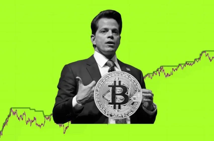  Anthony Scaramucci Predicts New Bitcoin Highs in Six Months