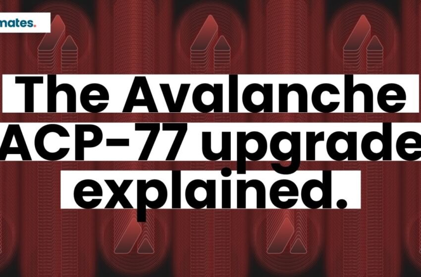  An Avalanche Reawakening