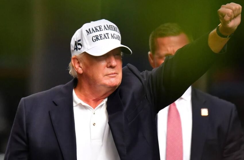  Crypto Market ‘Pricing in a Trump Win,’ Says QCP Capital