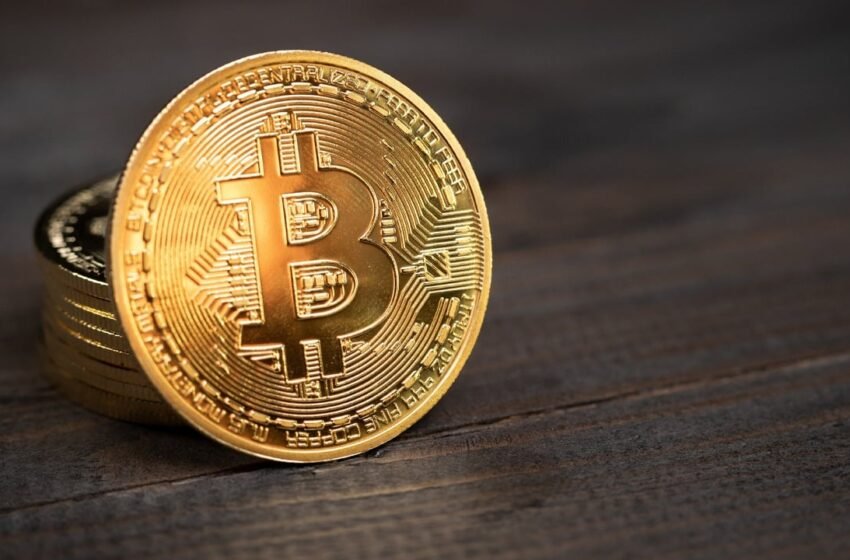  Bitcoin to Reach $87K in 2024 and $383K by 2030, Finder Survey Predicts