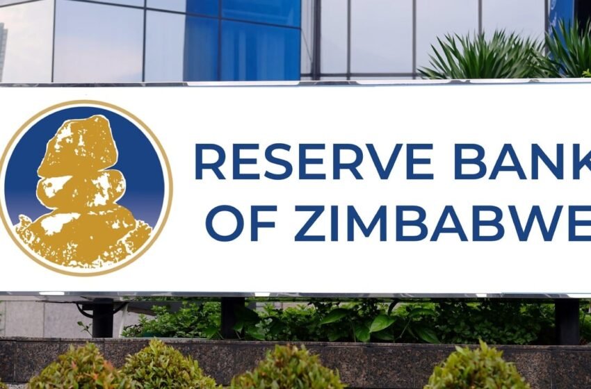  Zimbabwe Injects $50M in Forex Market to Stabilize Currency