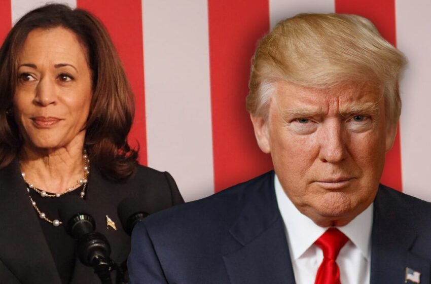  Harris vs. Trump: Polls Show Tight Race as Betting and Prediction Markets Favor Trump