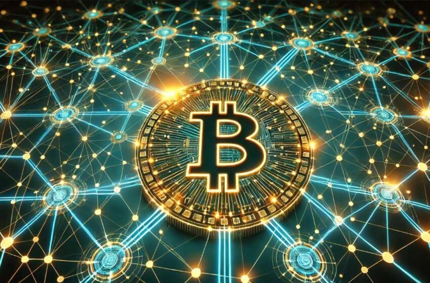  University of Wyoming Launches Bitcoin Research Institute to Produce High-Quality Publications