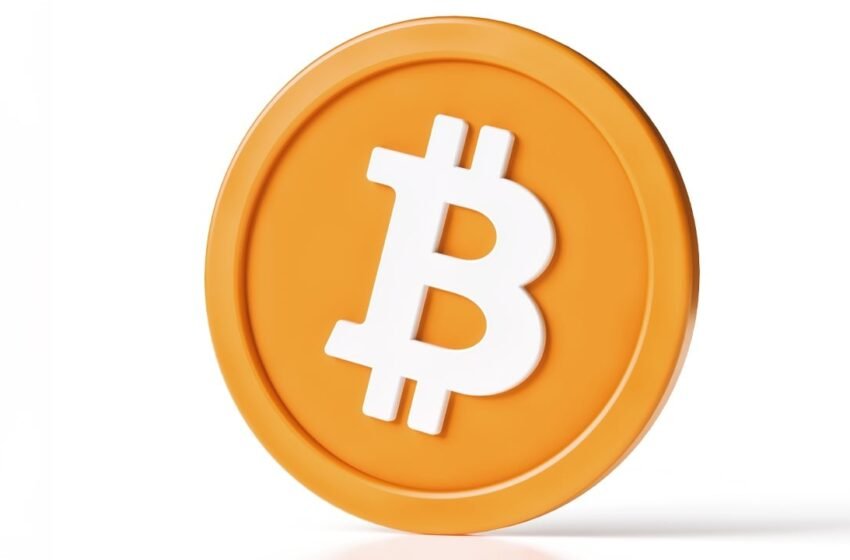  Maelstrom Launches Bitcoin Grant Program Aiming to Support Developers
