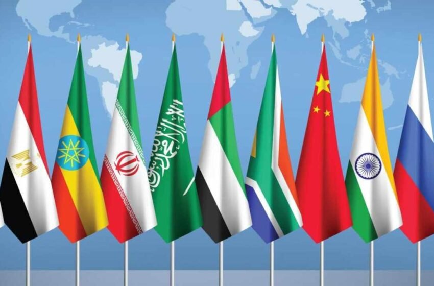  BRICS Considers Iran’s Proposal to Link Payment Systems of All Member Countries, Says Russian Official