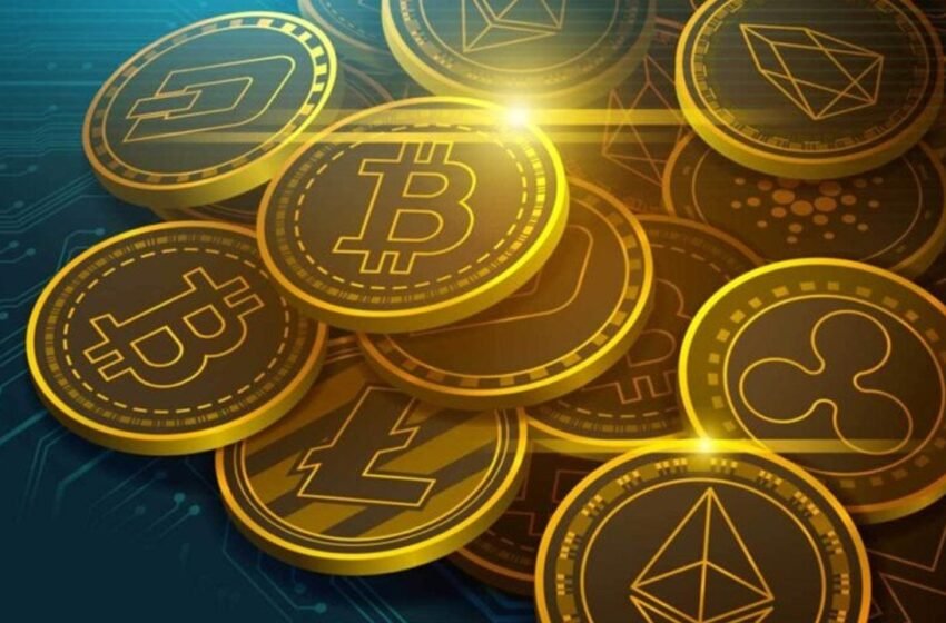  Weekly Crypto Market Roundup: Top Gainers and Losers Revealed
