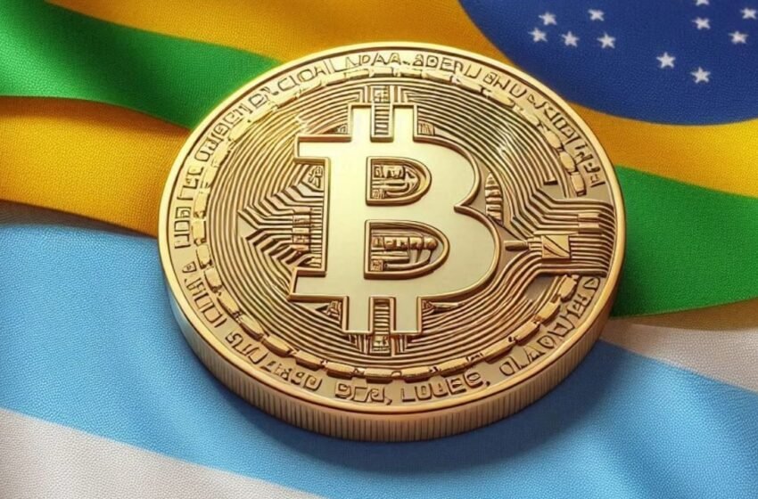  Triple-A: Argentina and Brazil in the Top Ten Of Countries With Most Cryptocurrency Ownership