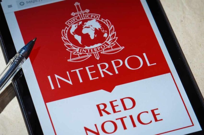  Interpol Issues Red Notice for ‘Coin Young Master’ Who Threw Cash From Rooftop