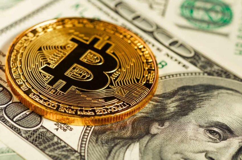  Jack Dorsey Envisions Bitcoin Replacing US Dollar — Foresees BTC Reaching $1 Million