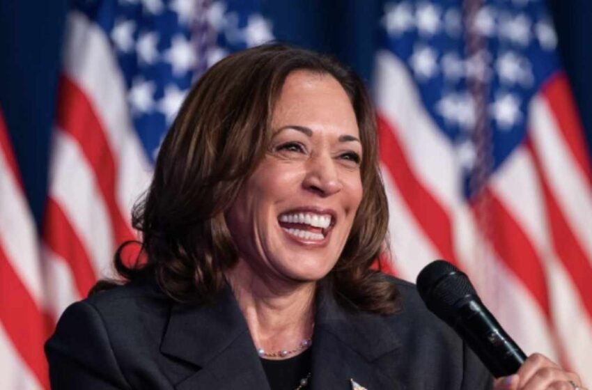  Ripple CEO Suggests Vice President Kamala Harris Steer Clear of Anti-Crypto Rhetoric