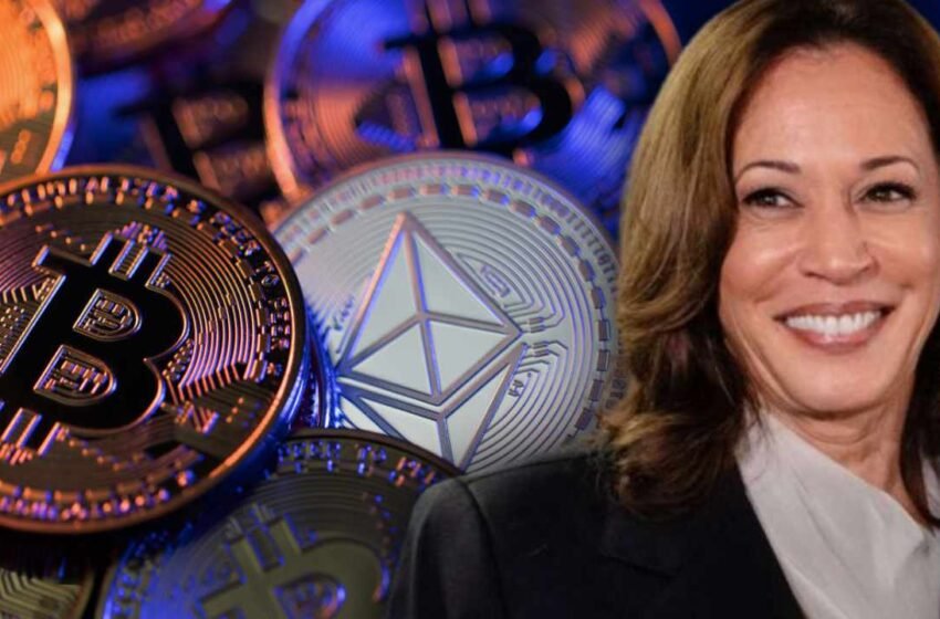  Skybridge Founder: Kamala Harris Open-Minded About Crypto