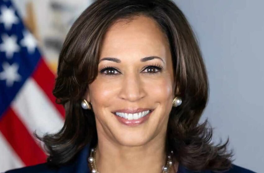  Kamala Harris Urged to Embrace Digital Assets
