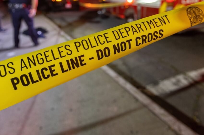  LAPD Investigates $579,000 Bitcoin ASIC Miner Theft, Suspect Released