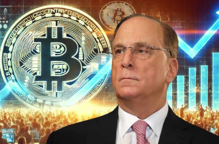  Blackrock CEO Larry Fink Explains Why Everyone Should Consider Bitcoin in Portfolios