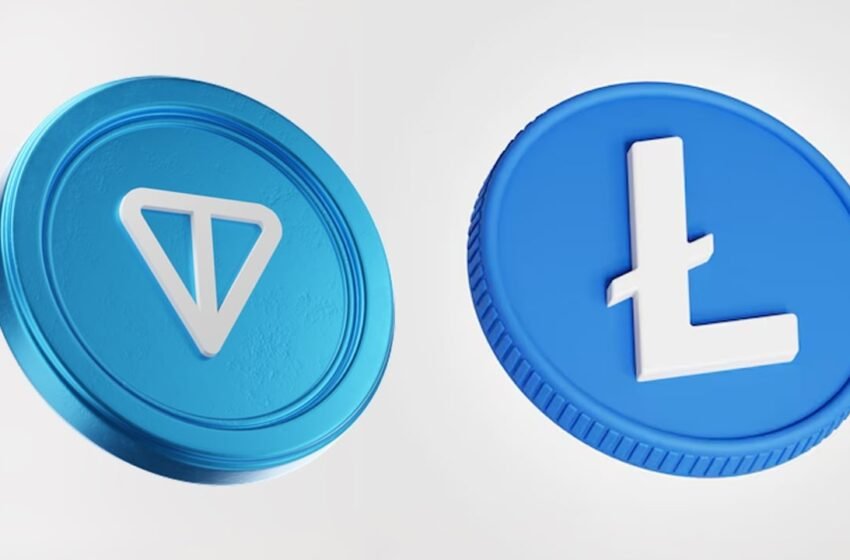  Crypto Rankings Shift Over Year: New Entrants and Price Surges