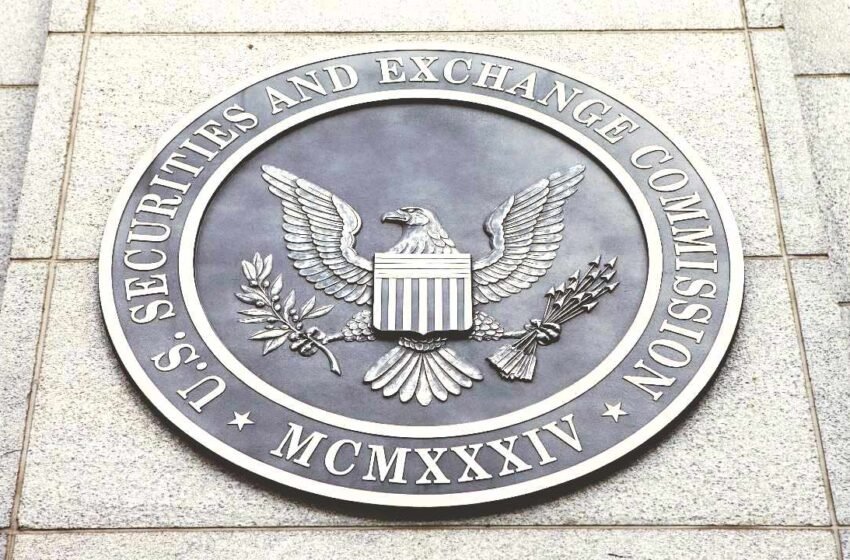  Ripple CEO Slams SEC Hypocrisy and Haphazard Crypto Regulation