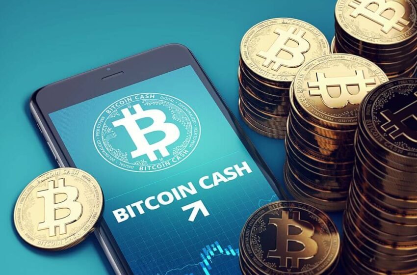  Bitcoin Cash jumps 14% to hit $450 as BTC eyes $70k