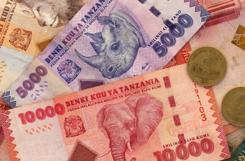  Tanzania Seeks to Shore up Local Currency With Directive Mandating Tourists to Use Shillings